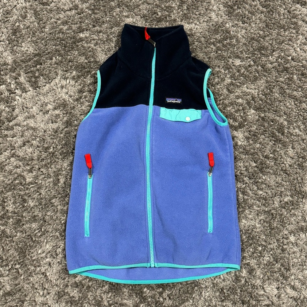 Patagonia synchilla vest